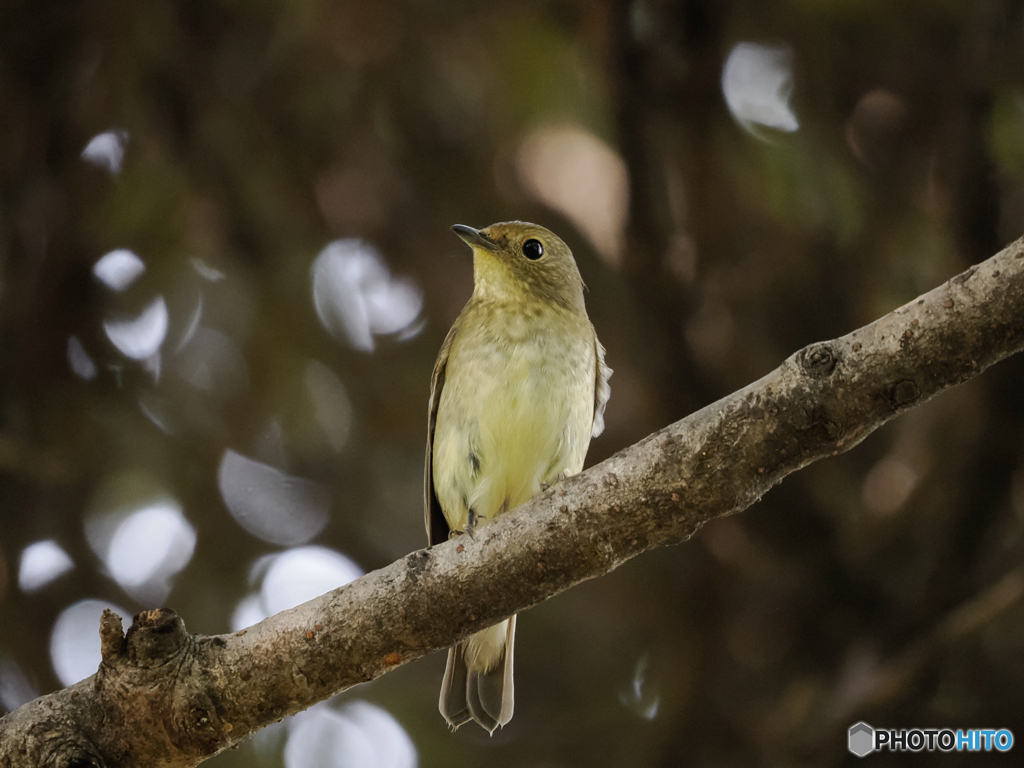 間近でポーズ