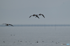 朝夕に再訪したい！