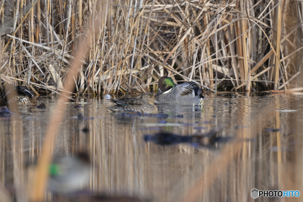 視線を感じる