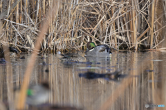 視線を感じる