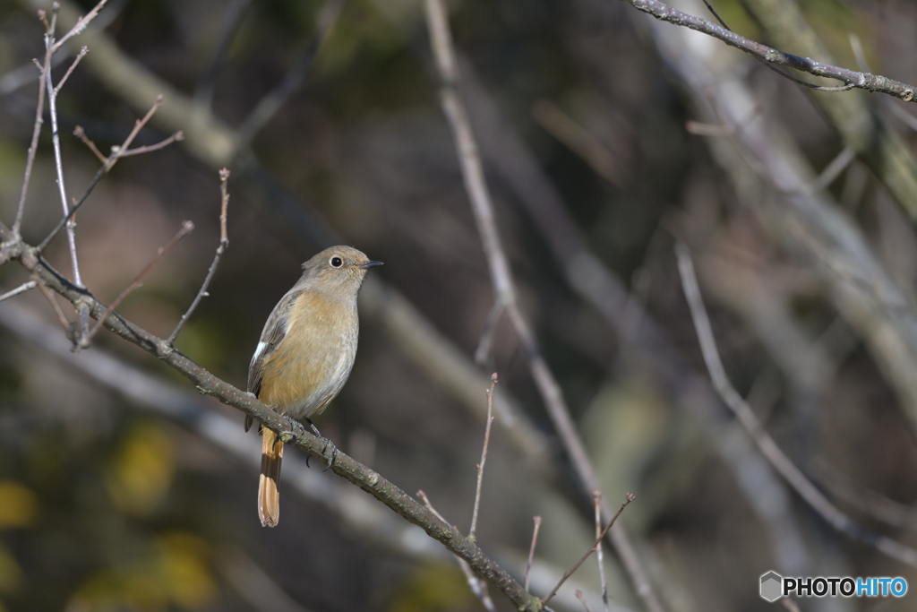 可愛く撮ってよ