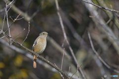 可愛く撮ってよ
