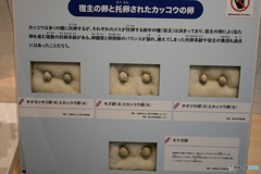 衝撃の托卵