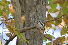 呼び止められて