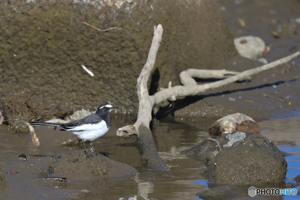 なんだか久しぶり？
