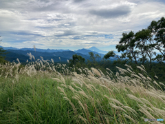 秋香る高原