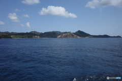 Boninの兆し