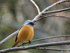 近過ぎるかな