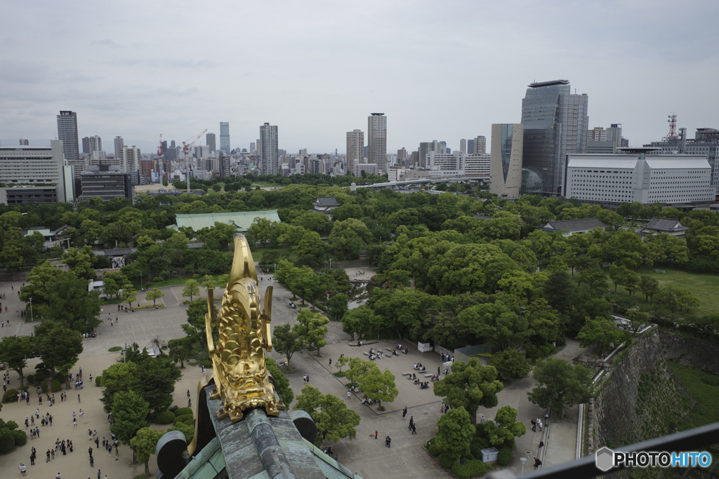 鯱鉾と大阪