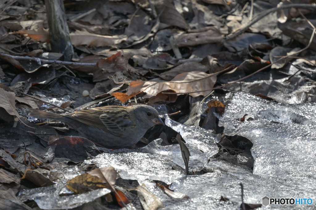 そこ溶けてる？