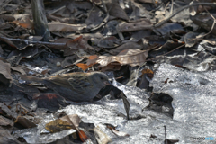 そこ溶けてる？