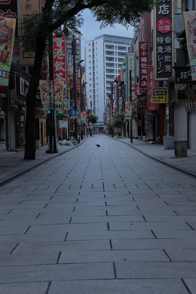 まだ眠る中華街