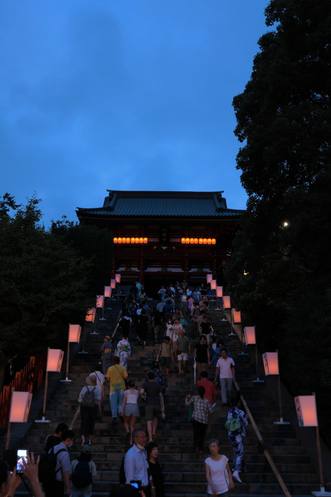 ぼんぼり祭り