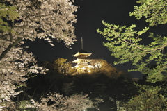 三渓園ライトアップ2023春Ⅱ