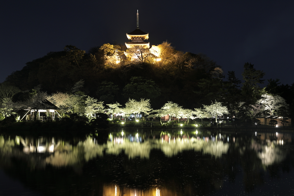 三渓園ライトアップ2023春Ⅰ