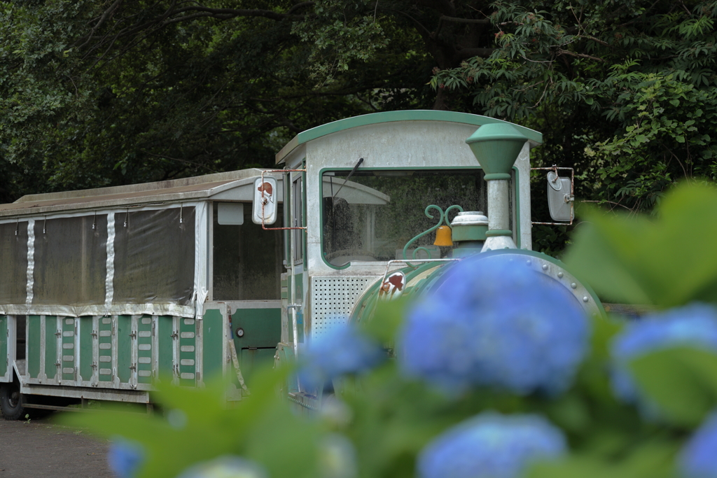 フラワートレイン