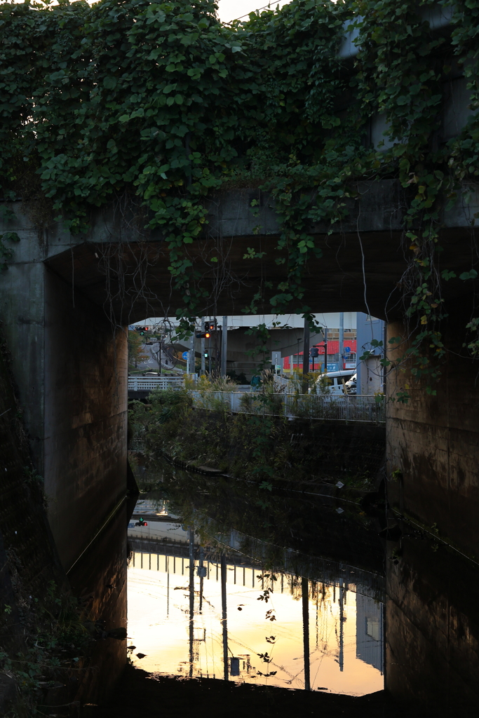 10/30金色の記憶Ⅲ