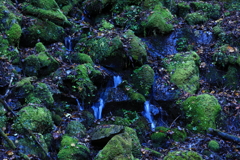 苔むした岩より流るる水