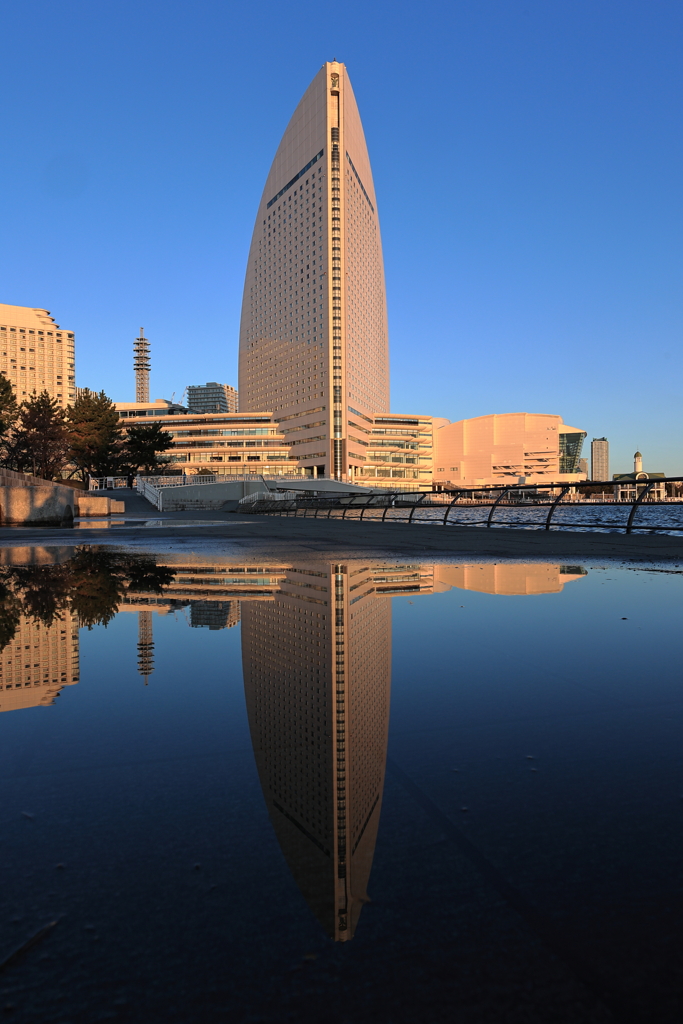 冬の朝のリフレクションⅠ