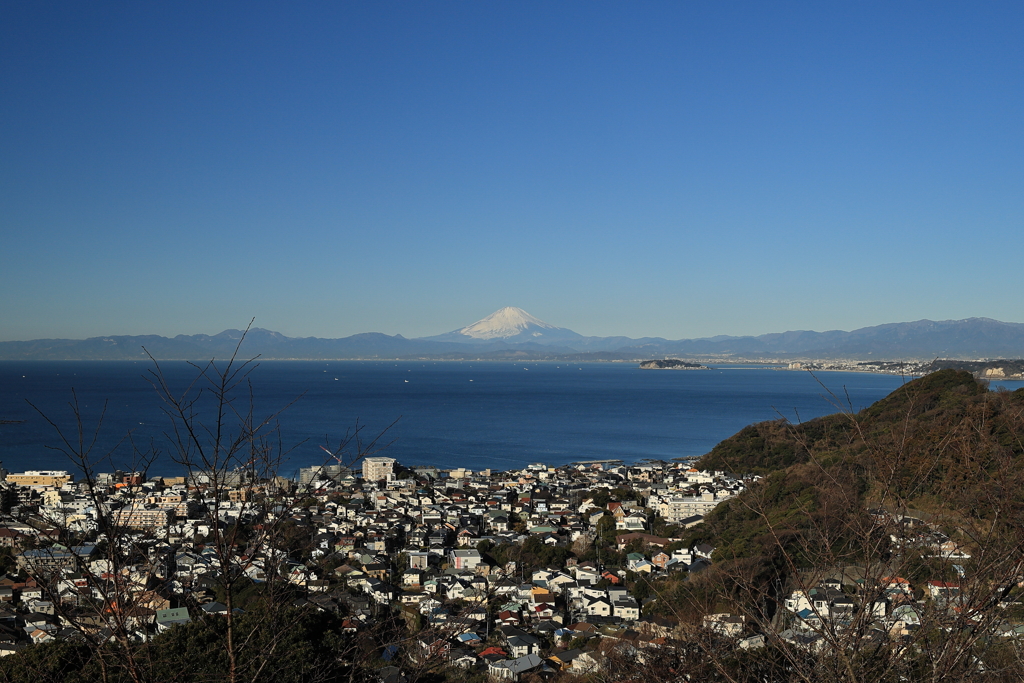 相模湾