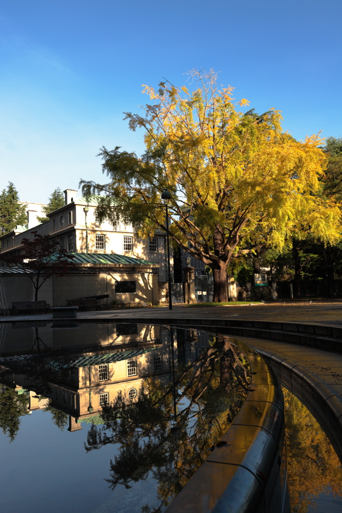 １１月のリフレクション１