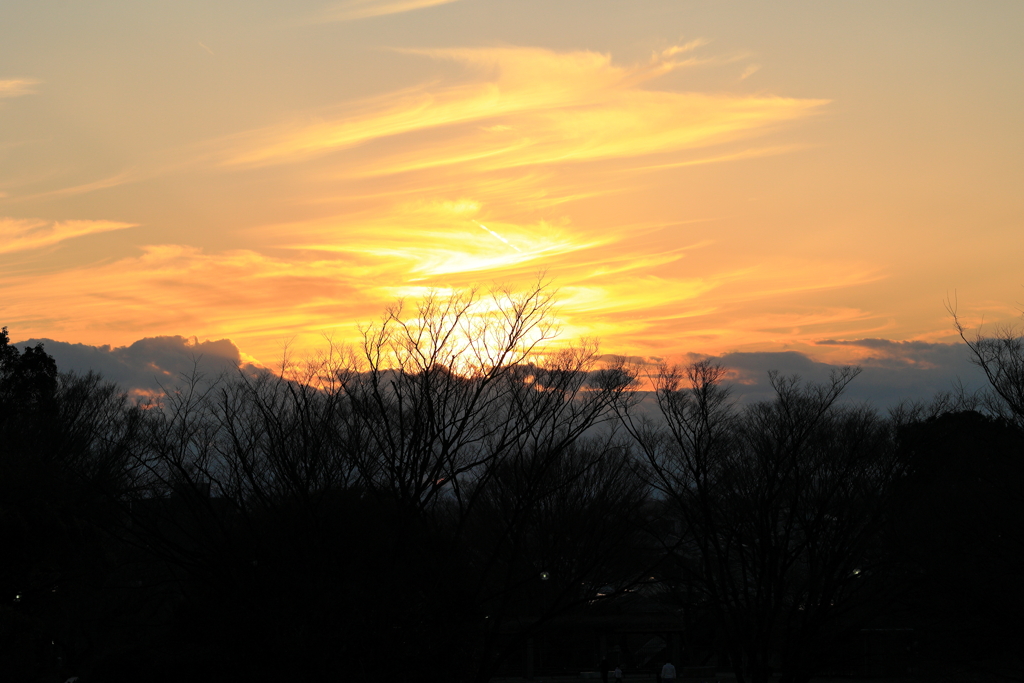印象的な夕焼け