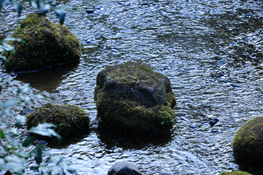 光る水面と苔むした岩