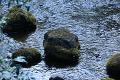 光る水面と苔むした岩