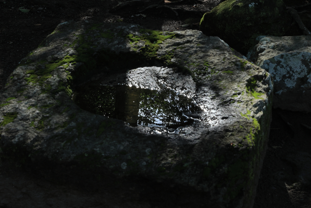 苔むした岩と小さな水鏡