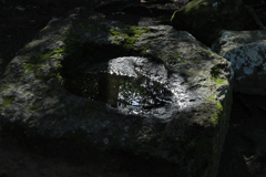 苔むした岩と小さな水鏡