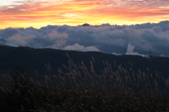旅の朝