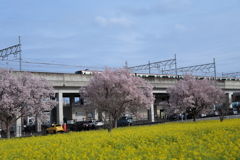 高架沿い