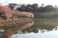 小松ヶ池公園Ⅱ