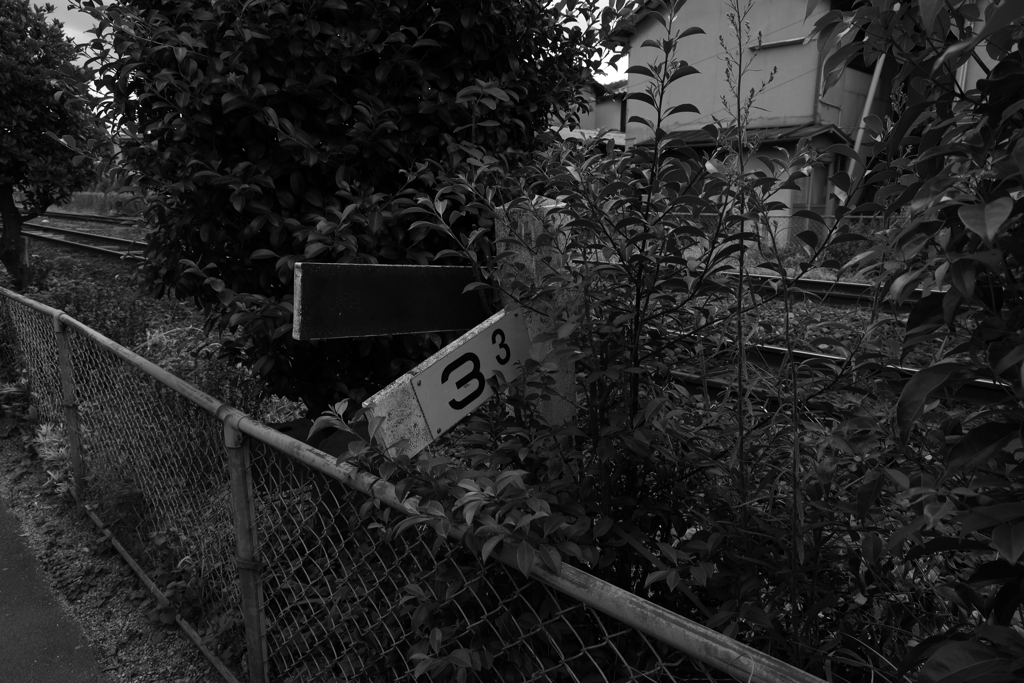 必死の自己主張