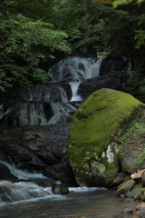 魚止めの滝