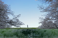 春の堤