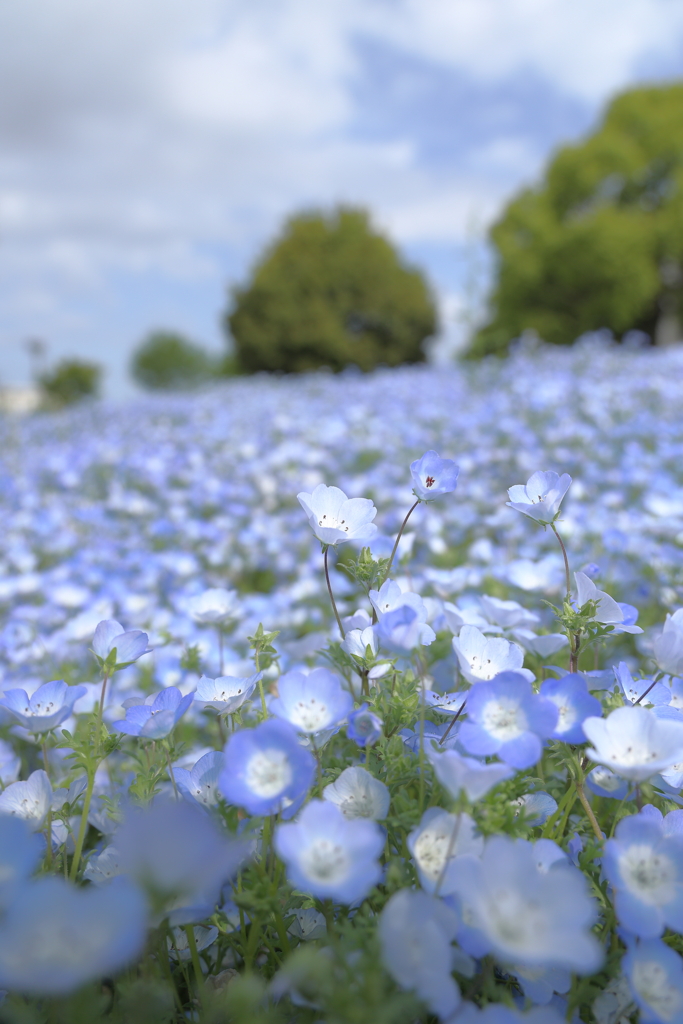 ２３区の果てで