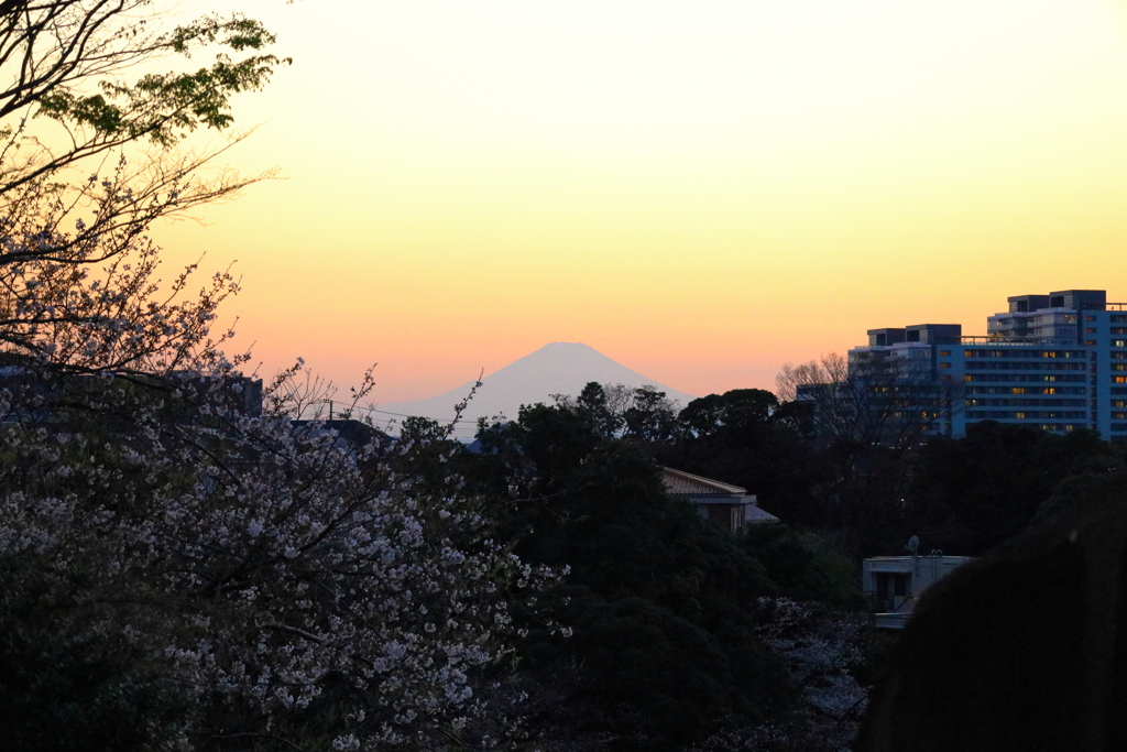 元町公園からの控えめな富士山