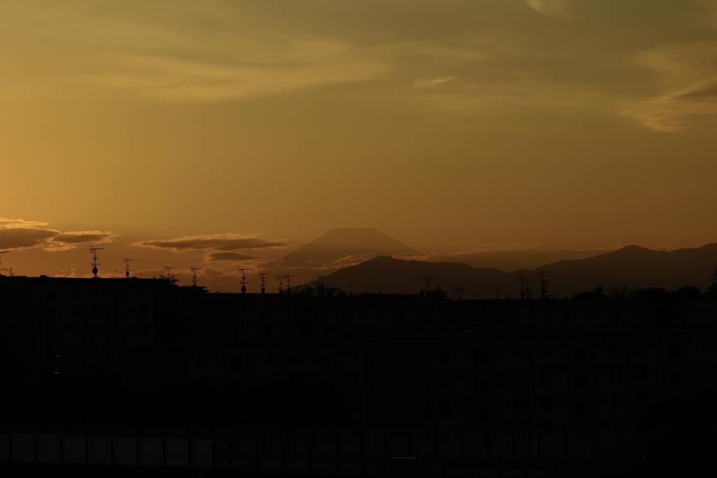 10/30金色の記憶Ⅱ