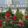 横浜薔薇散歩２