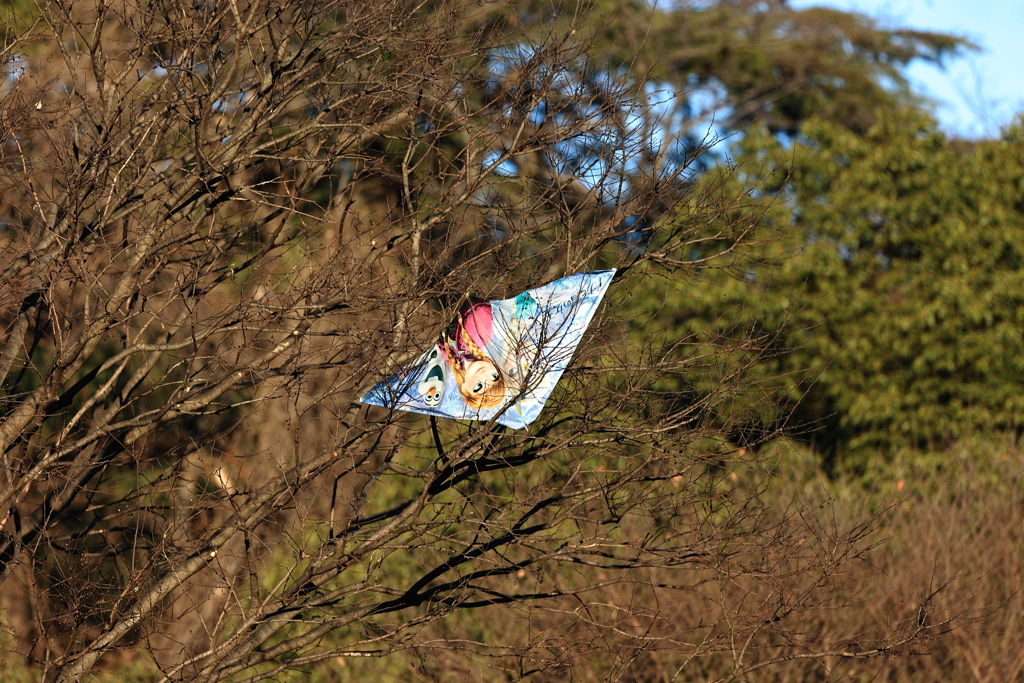 正月休みの忘れ物