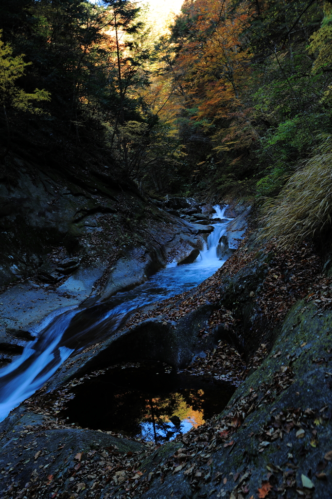 小さい秋見つけた
