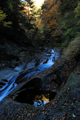 小さい秋見つけた