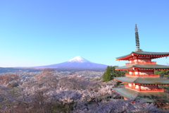爛漫
