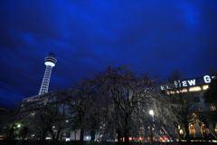 よこはま夜桜Ⅰ