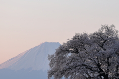 THE　日本の風景