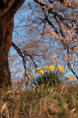 見守ってくれる