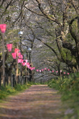 祭りも今宵まで