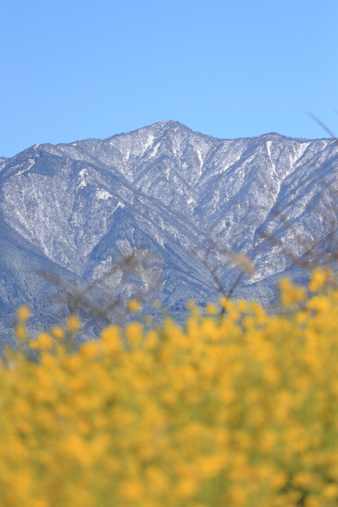 吾妻山公園から丹沢方面