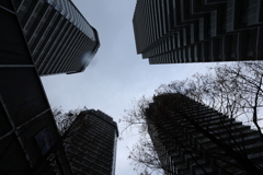 見上げたら雨はまだ降っていた